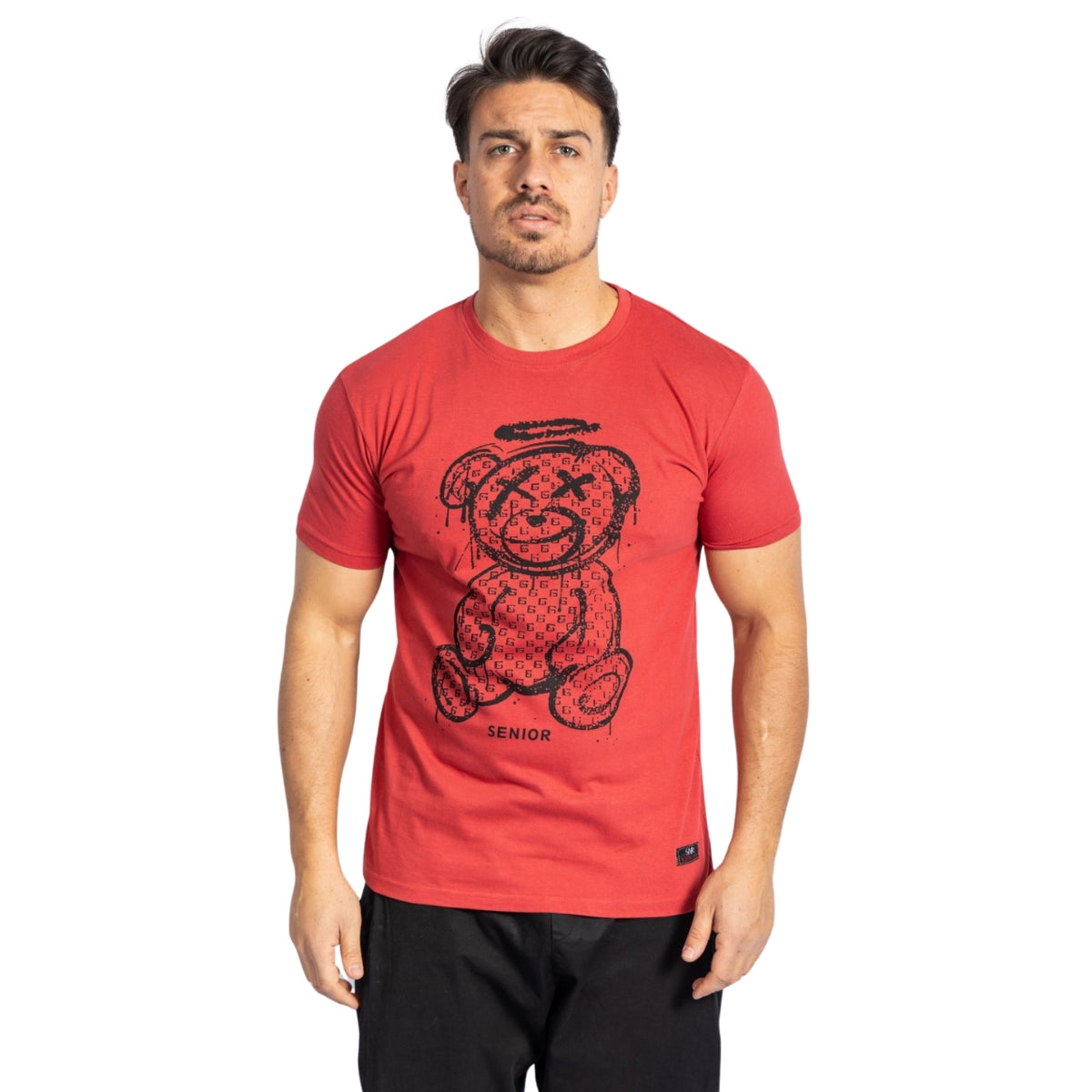 Ανδρικό T-Shirt Teddy Bear (861) - Panda Clothing